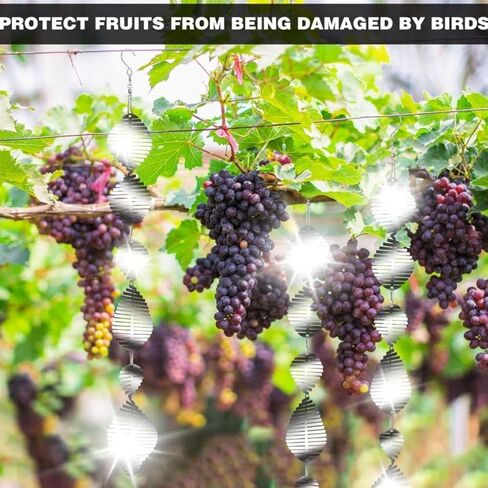 مجموعة أقراص تخويف الطيور المعدنية 15 قطعة - عاكسات الطيور على الوجهين شديدة الانعكاس، دوارات الرياح لتزيين الحديقة الخارجية، أجهزة الطيور لمنع تخويف الطيور بعيدًا عن مزرعة الفناء in Kuwait