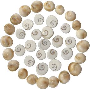 Suninow Natural Gomati/Gomti Chakra Original for Puja (White) by AmazPrime (Pack of 11)