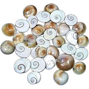 Small Gomti Chakra Pack of 21 for Wealth, Health & Success (Very Small Size for Pooja)