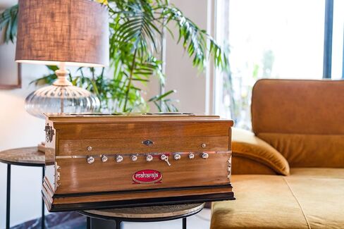 هارمونيوم من مهراجا ميوزيكالز، الولايات المتحدة الأمريكية، 9 توقفات، 3 1/2 أوكتاف، قصب مزدوج، قارنة توصيل، لون طبيعي، قياسي، حقيبة مبطنة، ضبط A440، آلة موسيقية هندية (PDI-ABG) in Kuwait