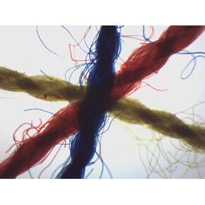 EISCO Crossed, Colored Threads - Prepared Microscope Slide - Wholemount - 75 x 25mm - Introductory Microscopy in Kuwait