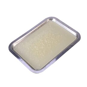 UKCOCO Wax Dissection Tray - Stainless Steel Dissecting Tray Biological Laboratory Equipment for Junior Senior School (18x25cm)