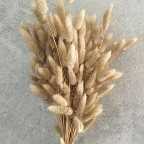 Bunny Tails Dried Flowers 100pcs Dried Pampass Grass Decor Bunny Tail Floral Stems 17 Inch Dried Flowers for Boho Decor Home Wedding Decoration Plants (Burnt Orange)