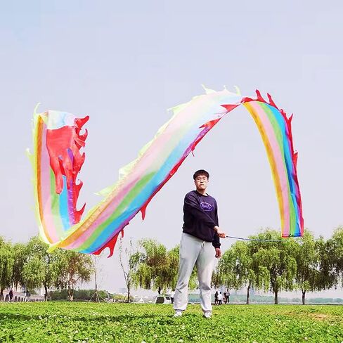 3 Meters (9.8 FT) Golden Scale Silk Dragon Poi For Kids & Adults - Outdoor Flinging Fitness Dragon Dance Wu Long 3D dragon Ribbon Streamer with Fiberglass Handstick + Travel Bag!(Golden Green Dragon) in Saudi Arabia