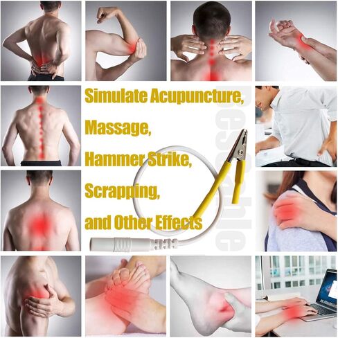 سلك كهربائي للإبر الجافة - BesCable 20 قطعة من أسلاك عشرات الأسلاك الرائدة مع مشابك التمساح لوحدة العلاج الطبيعي لوحدة عشرات - كابل دبوس أنثى إلى مشبك التمساح 2.0 مم in Kuwait