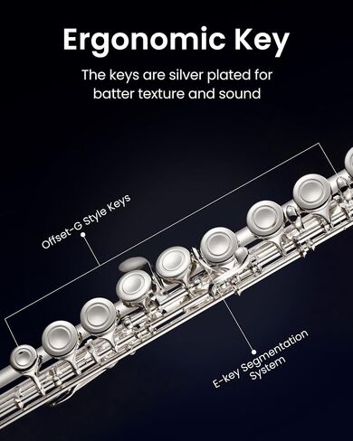 Fesley C Flutes Closed Hole, 16 Keys Flute Instrument, Student Flute for Beginners Kids, Beginner Flute with Cleaning Kit, Case, Stand, Joint Grease, Tuning Rod, Gloves, Nickel in Saudi Arabia