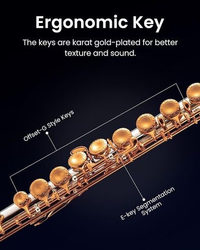Fesley C Flutes Closed Hole, 16 Keys Flute Instrument, Student Flute for Beginners Kids, Beginner Flute with Cleaning Kit, Case, Stand, Joint Grease, Tuning Rod, Gloves, Nickel in Saudi Arabia