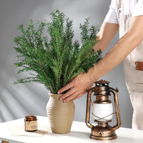 النباتات الخضراء المجففة Melaleuca bracteata F.Muell 5-6oz طول 17.5 "فرع أخضر محفوظ لمزهرية ديكور المنزل تصميم الأزهار DIY ترتيب شمعة العطر 2 حزمة حزمة (الأخضر الطبيعي) in Kuwait