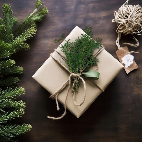 النباتات الخضراء المجففة Melaleuca bracteata F.Muell 5-6oz طول 17.5 "فرع أخضر محفوظ لمزهرية ديكور المنزل تصميم الأزهار DIY ترتيب شمعة العطر 2 حزمة حزمة (الأخضر الطبيعي) in Kuwait