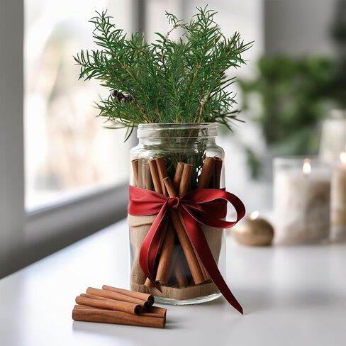 النباتات الخضراء المجففة Melaleuca bracteata F.Muell 5-6oz طول 17.5 "فرع أخضر محفوظ لمزهرية ديكور المنزل تصميم الأزهار DIY ترتيب شمعة العطر 2 حزمة حزمة (الأخضر الطبيعي) in Kuwait