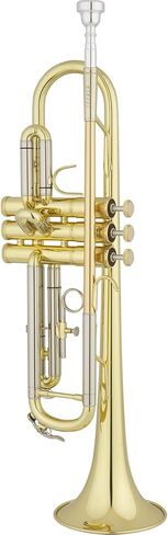 ETR221 طالب ب البوق in Kuwait