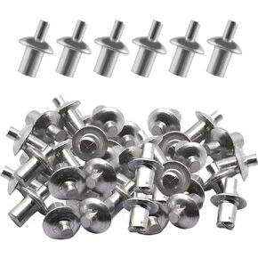 100Pcs Round Head Rivet Set, Reusable Aluminum Core Rivet, Hammer Drive Rivets Aluminum Alloy Knock Type Expansion Rivets for Indoor Outdoor Electronic Equipment (100Pcs/Set)