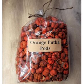 Mini Orange Putka Pods (Pumpkin Pods) for Potpourri and Bowl Fillers 4 Heaping Cups