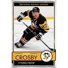 Trends International NHL Pittsburgh Penguins - Sidney Crosby 16 Wall Poster, 22.375" x 34", Premium Unframed Version