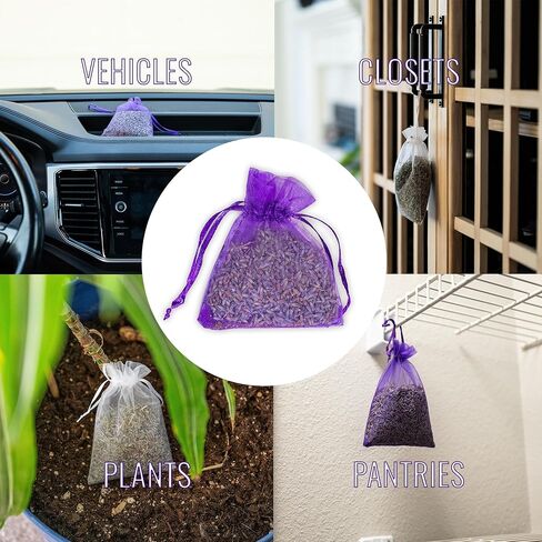 Lavender Sachets by Lavender 101 - US Grown French (Grosso) Lavender Sachets | Great for Adding Fragrance to Closets, Drawers, Homes, Vehicles, Workspaces (6), Small, Purple in Kuwait