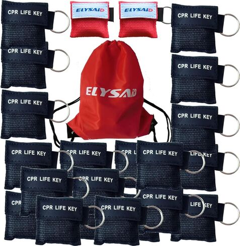 100 قطعة/الحزمة سلسلة مفاتيح حاجز CPR مع Cpr Face Shield CPR Life Key لتدريب CPR Aed باللون الأسود in Kuwait