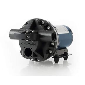 Delavan 5850-201C-SB Diaphragm Pump 12V, 45PSI, 5.0GPM, Demand Pump