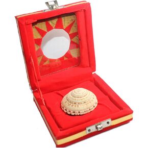 IndianStore4All IS4A Natural Vishnu Sudarshan Chakra Shankh Its Use to Bring Luck
