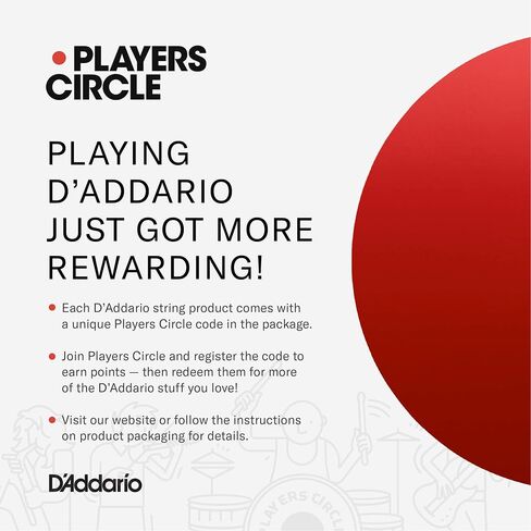 D’Addario EXP16 Coated Phosphor Bronze Acoustic Guitar Strings, Light, 12-53 – Offers a Warm, Bright and Well-Balanced Acoustic Tone and 4x Longer Life - With NY Steel for Strength and Pitch Stability in Saudi Arabia