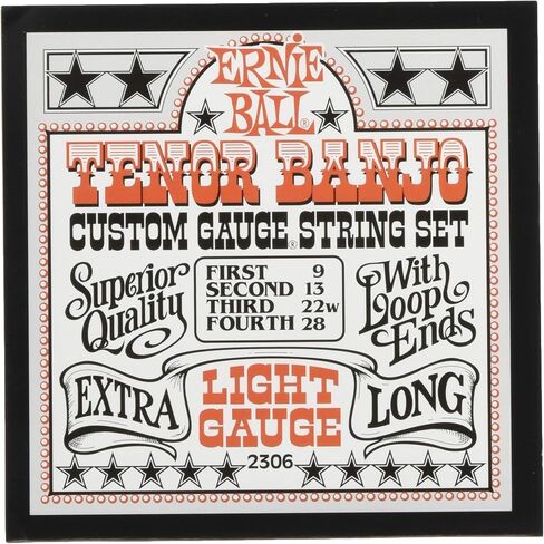 Ernie Ball 5-String Light Stainless Steel Banjo Strings, 9-9 Gauge (P02312) in Saudi Arabia