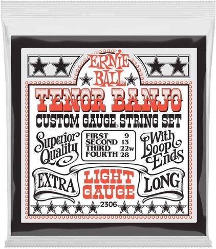 Ernie Ball 5-String Light Stainless Steel Banjo Strings, 9-9 Gauge (P02312) in Saudi Arabia