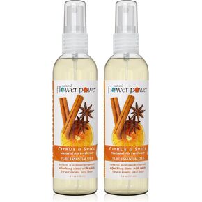 Air Freshener Spray (4 Fl oz) + Refill (16 Fl Oz) Combo - Spray Bottle + Refill 4X – Plant-Based Odor Eliminator - Room, Linen, or Car - Cruelty-Free (Lavender)