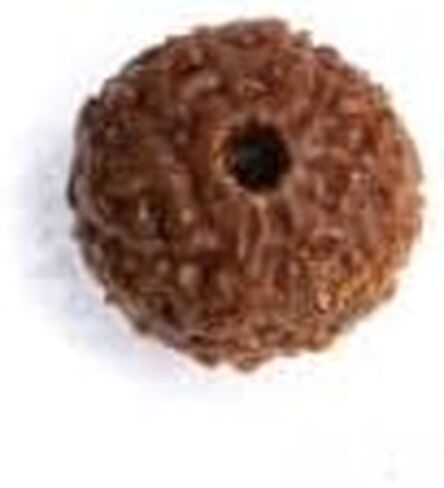 Wonder Care - Original Nepali Rudraksha Bead/Rudraksha Bead Natural Rudra Religious Rosary Bead in Kuwait