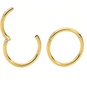 LunaLoop Nose Rings Hoops Septum Rings 16g Nose Piercings Jewelry 316L Surgical Steel Conch Rook Helix Piercing Jewelry CZ Cartilage Hoop Earring for Women
