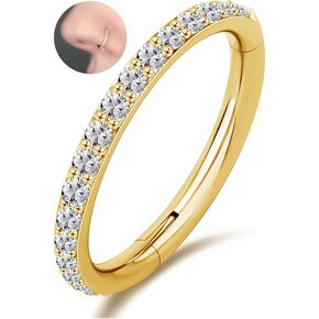 HANCAO Hypoallergenic Nose Rings Hoops - 20G 18G 16G G23 Titanium Cartilage Earrings Septum Jewelry Hinged Segment Ring CZ Paved Lip Conch Daith Rook Helix Tragus Lobe Snug Body Piercing 6/7/8/9/10MM