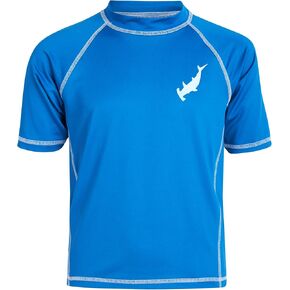 Big Chill Boys' Rash Guard Swim Shirt - UPF 50+ Long Sleeve UV Sun Protection Swim Shirt Quick Dry