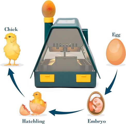 حاضنات HPC DECOR لتفريخ البيض، حاضنة البيض مع دوران البيض التلقائي والتحكم في الرطوبة، 10 بيضات، شمع بيض منخفض الضوضاء لتفريخ الدجاج والبط والسمان والطيور in Kuwait