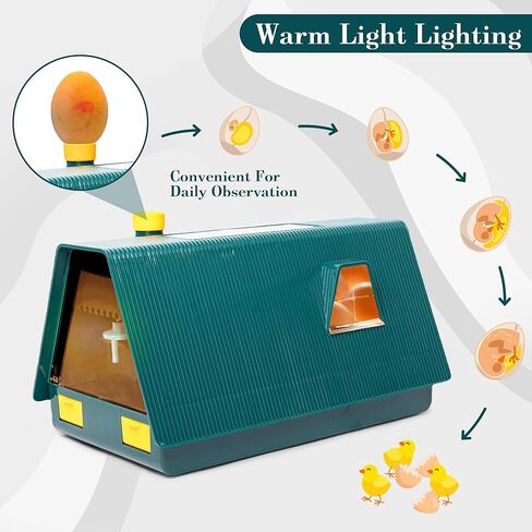 حاضنات HPC DECOR لتفريخ البيض، حاضنة البيض مع دوران البيض التلقائي والتحكم في الرطوبة، 10 بيضات، شمع بيض منخفض الضوضاء لتفريخ الدجاج والبط والسمان والطيور in Kuwait