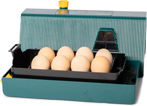 حاضنات HPC DECOR لتفريخ البيض، حاضنة البيض مع دوران البيض التلقائي والتحكم في الرطوبة، 10 بيضات، شمع بيض منخفض الضوضاء لتفريخ الدجاج والبط والسمان والطيور in Kuwait