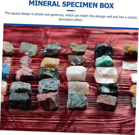 BESTOYARD 36 Pcs Mineral Standard Display Box Mini Plastic Containers Transparent Box Containers for Beads Mineral Specimen Holder Jewelry Storage Container Mineral Collection Tube Square in Saudi Arabia