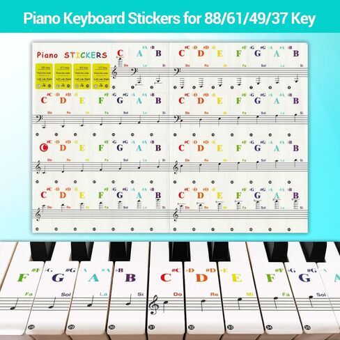 Keyboard Sustain Pedal, Piano Universal Pedal Set with 88 Key Piano Stickers for Digital Piano Electronic Keyboard MIDI Synthesizer,Sturdy Durable,Pedal with Polarity Switch, 1/4'' (6.35mm) Input Plug in Saudi Arabia