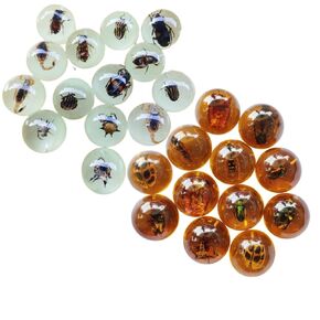 Multiple Psc Spherical Insect Amber Fossil, Spherical Luminous Insect Specimen, Educational and Scientific Amber Collection (16Pcs)