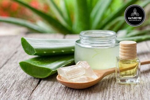 Naturevibe Botanicals Evening Primrose Oil 32 Ounces | 100% Pure and Natural | Great for Skin Care and Hair Care in Kuwait