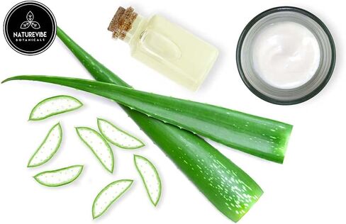 Naturevibe Botanicals Evening Primrose Oil 32 Ounces | 100% Pure and Natural | Great for Skin Care and Hair Care in Kuwait