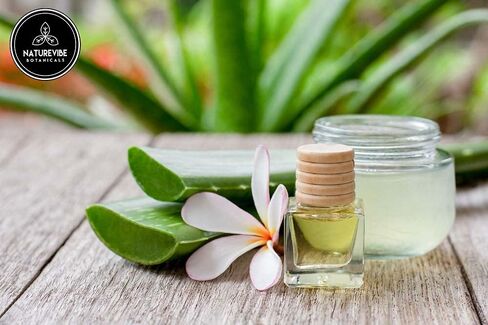 Naturevibe Botanicals Evening Primrose Oil 32 Ounces | 100% Pure and Natural | Great for Skin Care and Hair Care in Kuwait