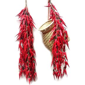 5pack Simulation Artificial Lifelike Fake Vegetable Artificial Garlic Red Chili Pepper Fake Vegetables Hanging Rope Home Kitchen Party Wall Decor Photography Props (Chili)