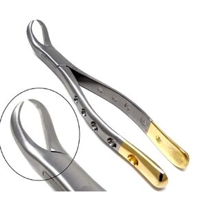Dental Extracting Extraction Serrated Forceps #23, for 1st and 2nd Lower molars, Premium Quality Gold Handle, Stainless Steel