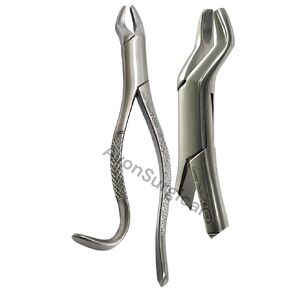 German EXTRACTING Forceps # 10H Dental Surgical Instruments Extraction Forceps