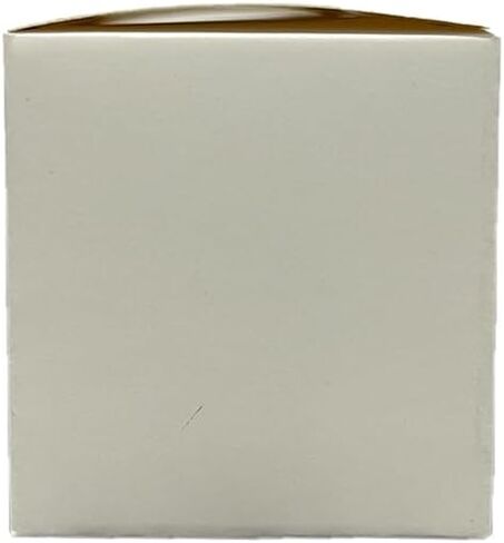 Brigii HEPA Filter only for M5 Handheld Vacuum, Mini Vacuum ; Pack of 2Pcs in Saudi Arabia