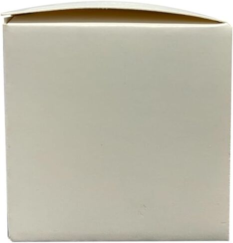Brigii HEPA Filter only for M5 Handheld Vacuum, Mini Vacuum ; Pack of 2Pcs in Saudi Arabia