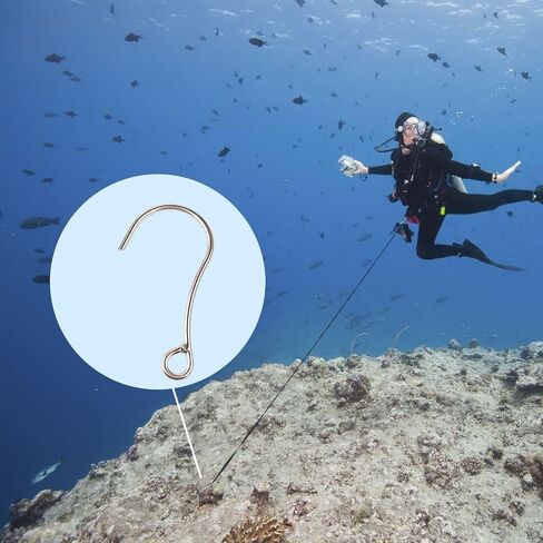 316 Diving Single Hook Lost Reef Hook Diving Stainless Steel s Hooks Metal s Hooks Scuba Diving Reef Hook Grappling Hook Anti- Equipment Steel Scuba Diving Hooks 1PC in Saudi Arabia