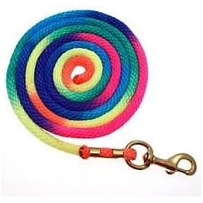 Basic Rainbow Poly Lead Rope with Bolt Snap