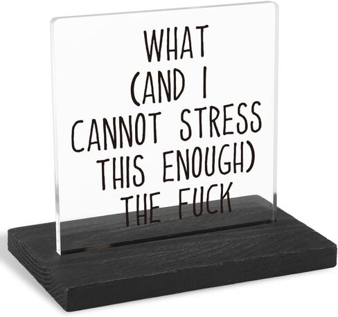 Motivational Office Desk Decor for Women, Funny Quote for Desk, Boss Gag Gift for Women, Men, Positive Affirmation Gifts for Women, Men,XXY50 in Saudi Arabia
