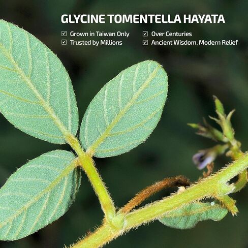 Relief Patch for Knee Back Neck - Maximum Strength Joint & Muscle Relieving Works on Shoulder Arm Leg Foot - 12-Count Large Herbal Patches in Kuwait