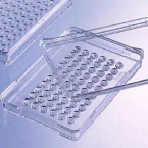 654180 72 طبق تيراساكي جيد مع غطاء واحد، معالج بتقنية TC، بوليسترين، شفاف (عبوة من 270 قطعة) in Kuwait