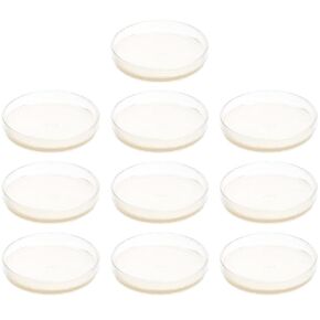 ULTECHNOVO 30 pcs Nutrient agar Plate agar Petri Dishes Petri Dishes with lids pre Poured agar Plates Laboratory Accessory prepoured Petri Dish Mushroom agar Plates Child Stripe Specimen